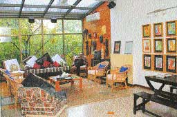 ROOM WITH A VIEW: Bal Sehgal bought an old house in Sector 2 and renovated it to suit his lifestyle without hiring architects and decorators.