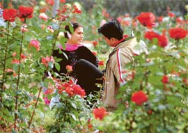 Young lovers in the Rose Garden.