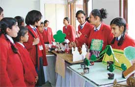 Students display the models at an art, craft and science exhibition held in Saraswati Model School
