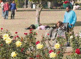 A man pushes his disabled relative who seems to be enjoying the warmth of the winter sun in the Rose Garden, Chandigarh