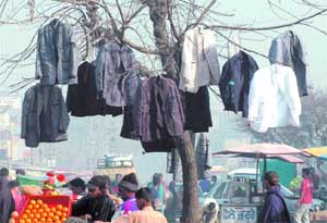 A roadside vendor in Jalandhar has found this unique way to put leaves on a dry tree.