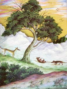 La Fontaines fable of The two Rats, the Fox, and the Egg. Illustrated by Imam Bakhsh Lahori; ca. 1837