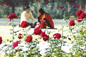 Roses in bloom make Rose Garden a pleasant retreat for these girls
