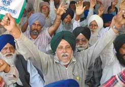 BKU activists stage a dharna in front of the Deputy Commissioners office in Jalandhar on Wednesday.