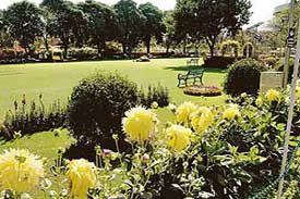 The Regional Institute of Cooperative Managements, Sector 32, Chandigarh, that got the first prize for the best maintained college campus at the Festival of Gardens  2006