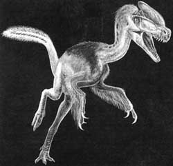 An artists impression of the 10-ft-long Guanlong wucaii, the earliest known tyrant king