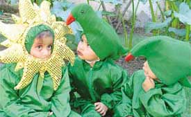 Students of Little Angel Nursery School celebrate schools annual function in Ludhiana on Friday