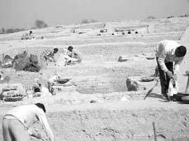 Excavation work in progress at Bhirdana village in Fatehabad district.