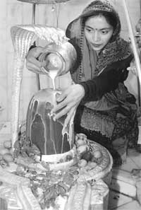 A devotee offers prayers on Mahashivratri at a temple in Shimla on Sunday.