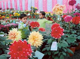 Tiny tots in a playful mood at Punjab Agricultural University during a flower show on Tuesday