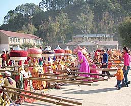 Devotees offer prayers to hill gods placed in a row of chariots during the Mahashivratri fair at Paddal Ground in Mandi on Wednesday evening. About 200 gods and goddesses are brought to the fair.