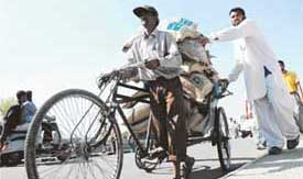 A farmer loads seeds purchased from the kisan mela on a rickshaw