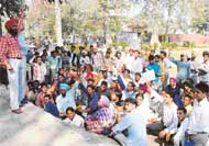 Aspirants for the posts in the district courts stage a dharna in front of the mini-secretariat in Ludhiana on Friday