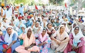 Farmers and their families stage a demonstration at Chhatar Singh Park in Ludhiana on Saturday
