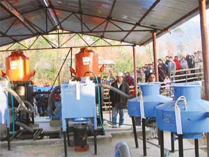 Biogas-based gasifier power project in a village in Nagaland