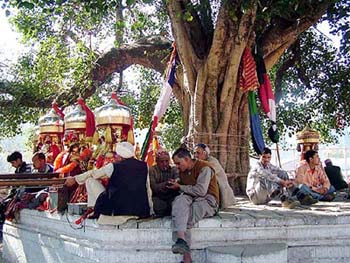 With mercury touching 30C, devotees keep the devtas in the shade of a peepul tree at the Paddale ground in Mandi on the concluding day of the international Shivratri festival on Sunday.
