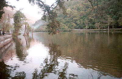 A view of the Renuka wetlands in Sirmaur district.