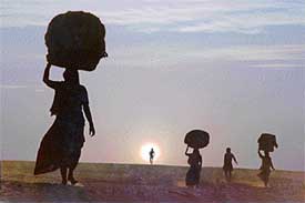 Rakesh Syal's "New Morning"  has won second prize in photography contest.
