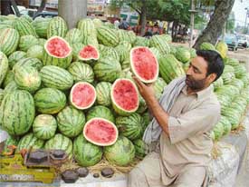 Though the temperatures are rising and falling, summer fruit watermelon is being sold at the Ferozepore road, Ludhiana