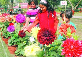 Children looking at prize-winning entries in the annual flower show organised in Jalandhar Cantonment on Sunday