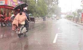 If only the scooter had a canopy! These persons on a two-wheeler seem to be wondering as they struggle to escape the rain in Ludhiana.