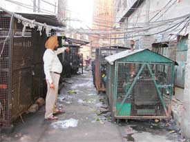 A network of wires and generators stored in the backyard of the Surya Kiran building pose a major fire risk in Ludhiana