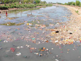 A view of the polluted Sidhwan canal in Ludhiana