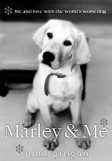 A Trip To Dog Heaven Marley & Me Life and love with the Worlds Worst Dog
