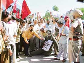 CITU members burn an effigy of Chief Minister Amarinder Singh in Ludhiana on Wednesday