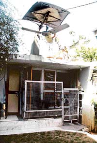 A kennel for Blackie in the backyard 
