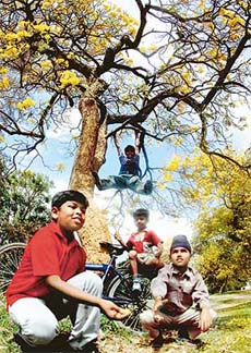 Free from examination pressure, children have good time in the Leisure Valley, Sector 10, Chandigarh