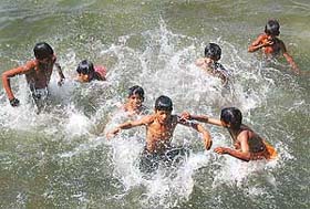 Nothing can equal the pleasure of splashing in water to beat the heat