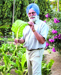 Ram Singh Dhesi
