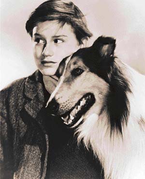 Roddy McDowall with his pet collie in Lassie Come Home