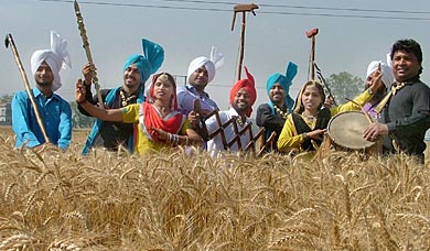 With the harvest season at its peak, folk dancers perform bhangra in a countryside in Ludhiana.