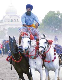 A Nihang displays horsemanship on the final day of the Baisakhi mela in Talwandi Sabo