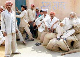 A view of the grain market, Ahmedgarh, where wheat bags await lifting as a group of labourers relax