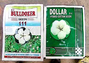 Fake wrappers of popular cottonseed processing companies seized during a raid in Abohar on Saturday