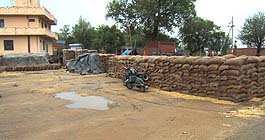 Wheat in bags made wet by rain at a procurement centre in Qadian near Gurdaspur on Sunday