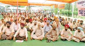 Government employees hold a protest rally at mini secretariat in Ludhiana