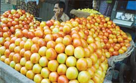 Tomatoes are in abundance in Ludhiana but the prices continue to be steep