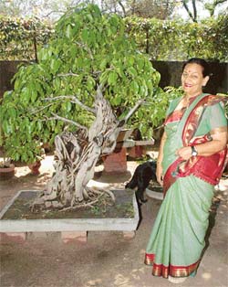 Rupan Deol Bajaj with her gnarled tree and prized bonsais