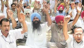 Members of the Sector 76-80 Plot Allotment Sangharsh Committee protest in Mohali