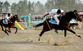 Riders put their steeds through their paces during the team tent pegging events on the concluding day of the Chandigarh Horse Show