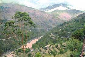 The State is fast losing it green cover. The execution of power projects in the state has played havoc with the forest wealth.