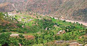 Loss of the forest cover in Kinnaur will harm global biodiversity.