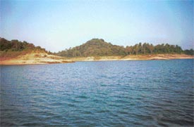 The Pong Dam reservoir in Kangra district where a team of Panjab University, Chandigarh, has started a project to study fish breeding patterns