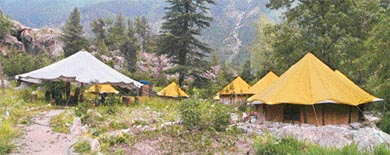 Secluded areas of Shimla attracts capmers