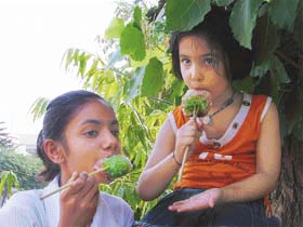 Kids enjoy ice candies to keep the sweltering heat at bay