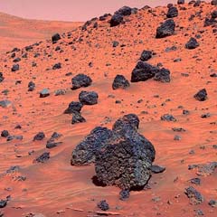 This image released by NASAs Jet Propulsion Laboratory was taken by the Mars Exploration Rover Spirit on April 13. 